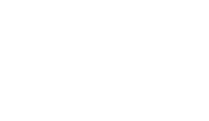 Ceramic Shield